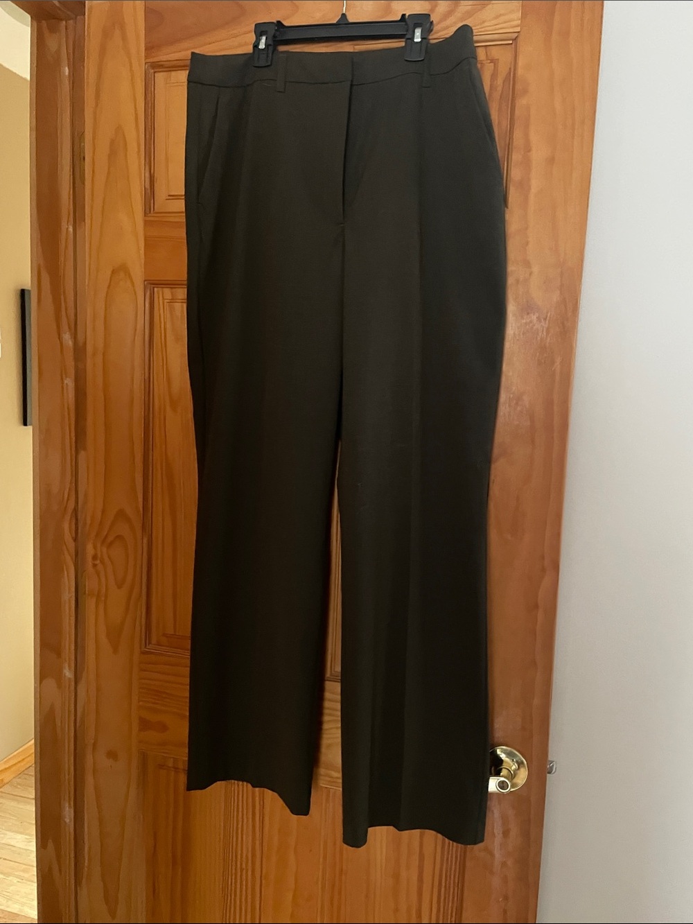 Rachel Zoe Wide-Leg Dress Pants in Dark Olive